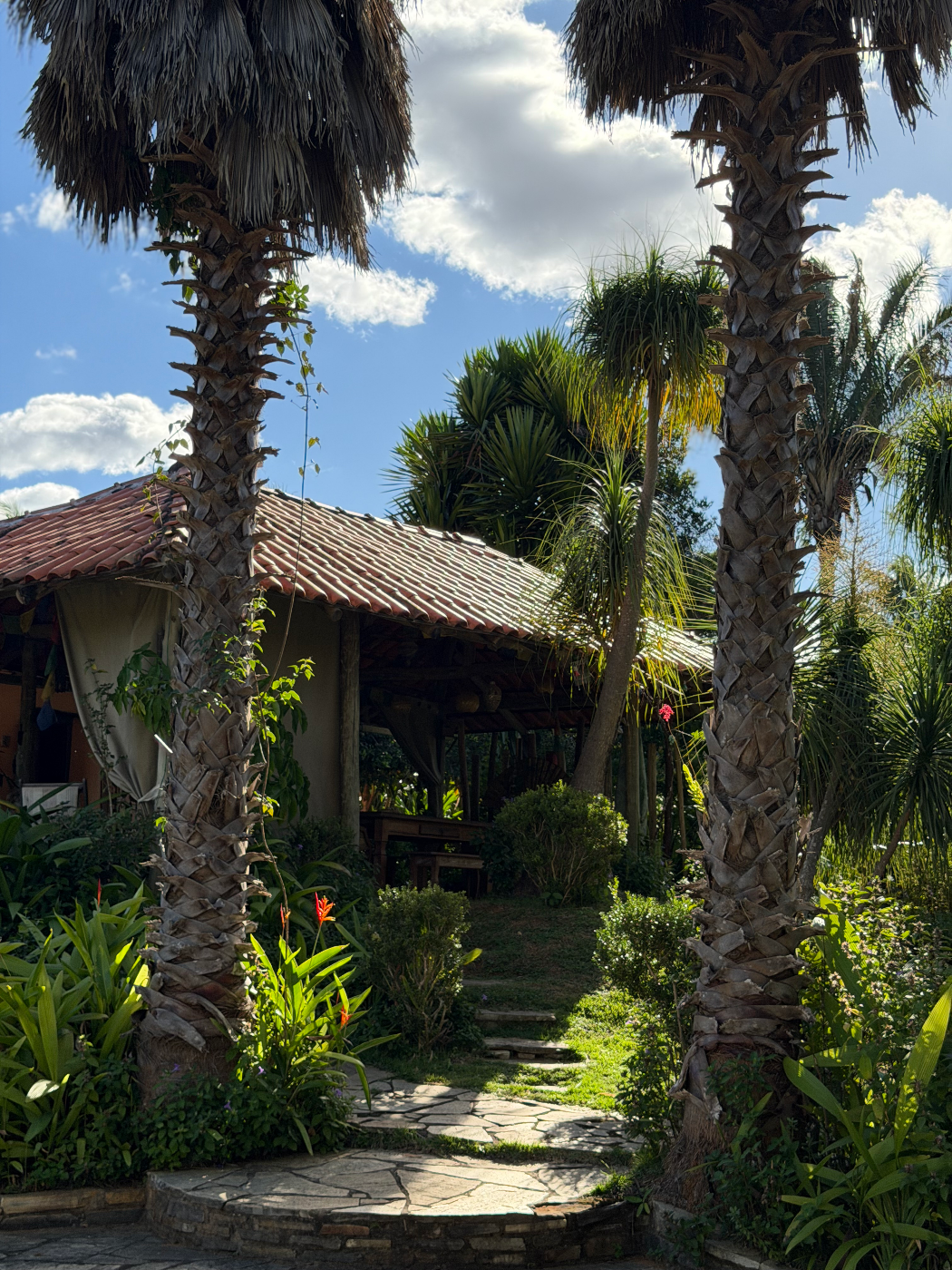Planeta Verde — pátio, piscina e domo de terra